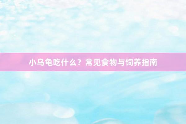 小乌龟吃什么？常见食物与饲养指南